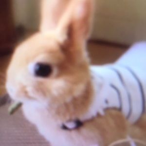 Meet your Posher, Lindsay